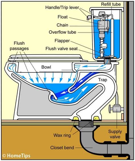 toilets plumbing.
